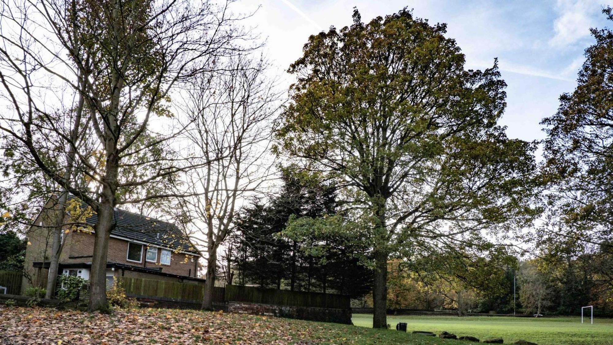 Cross Lane Cottage Pudsey Eksteriør bilde